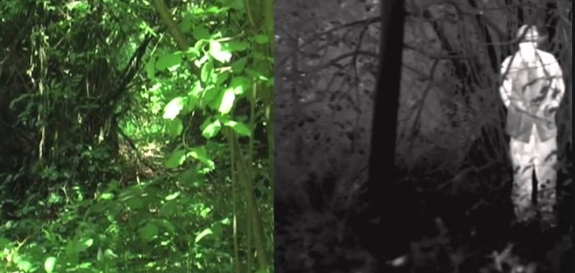 night vision vs thermal imaging